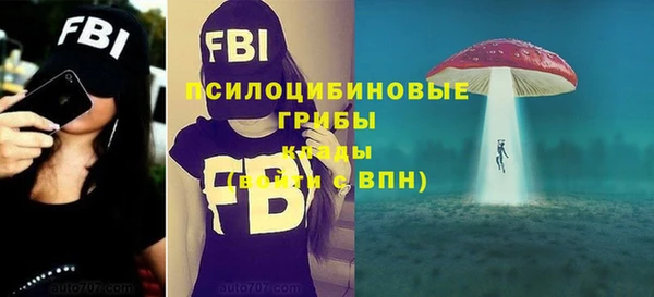 МДПВ Заводоуковск