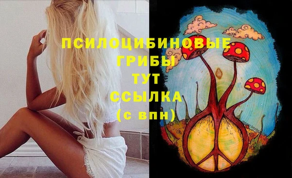 Альфа ПВП Заволжье