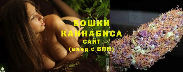 МДПВ Заводоуковск